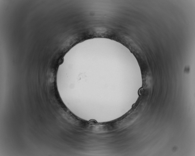 X0000101220472200807251115