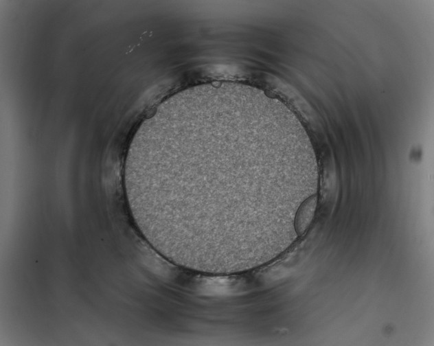 X0000101220473200807251115
