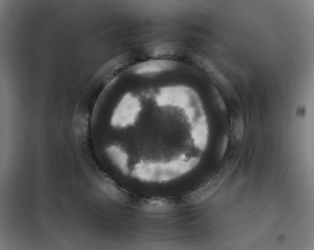 X0000101220475200807251116