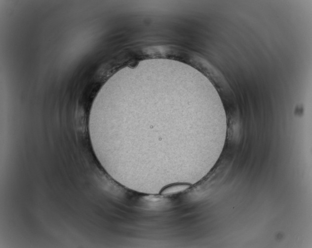 X0000101220477200807251116