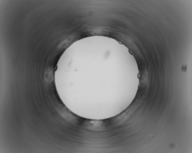 X0000101220478200807251116