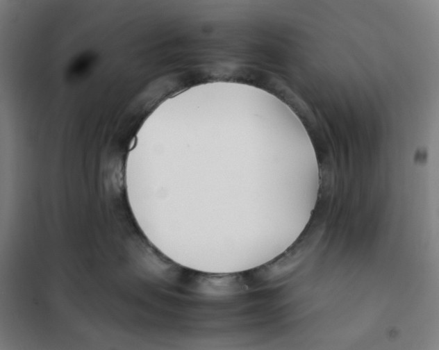 X0000101220479200807251116