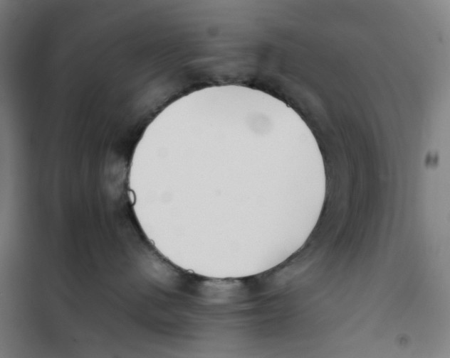 X0000101220480200807251116