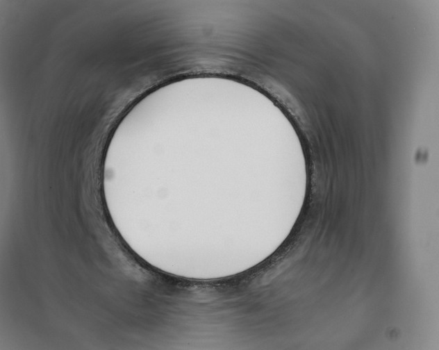 X0000101220481200807251115
