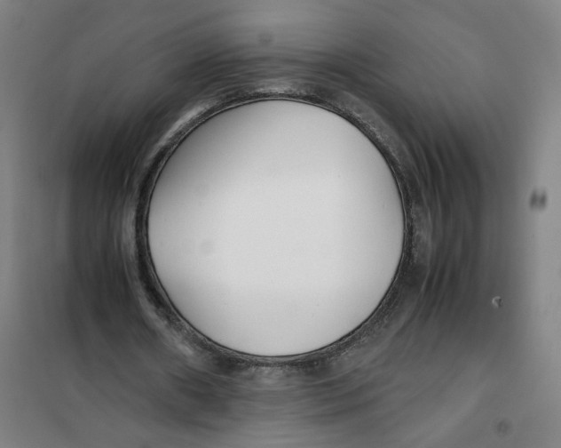 X0000101220482200807251115