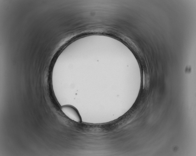 X0000101220483200807251115