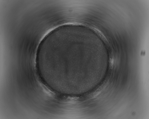 X0000101220484200807251115