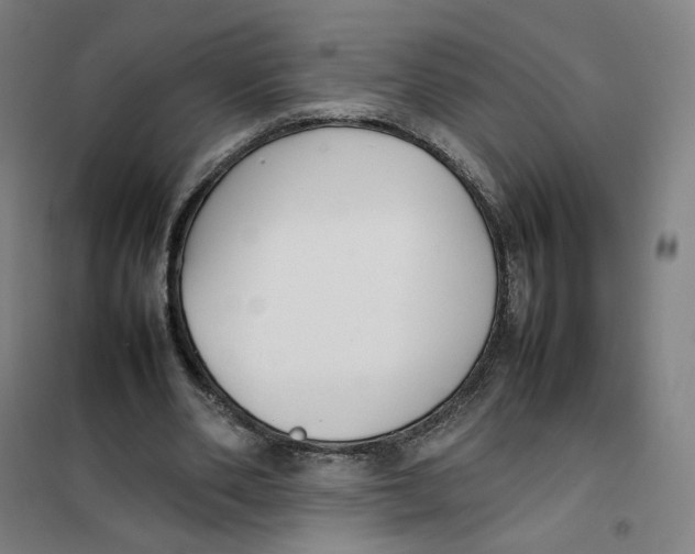 X0000101220486200807251115