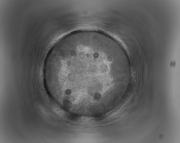X0000101220487200807251115
