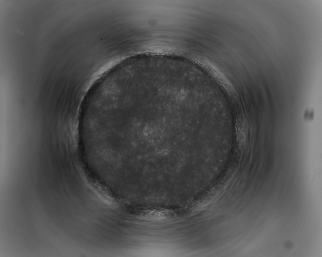 X0000101220488200807251115