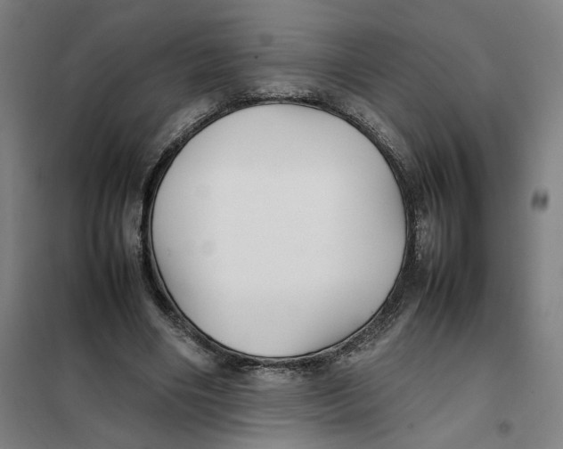 X0000101220490200807251115