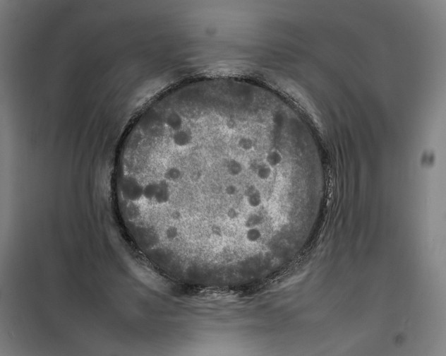X0000101220491200807251115