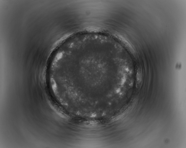 X0000101220492200807251115
