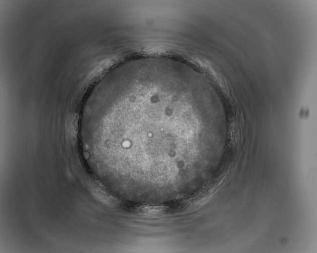 X0000101220495200807251115