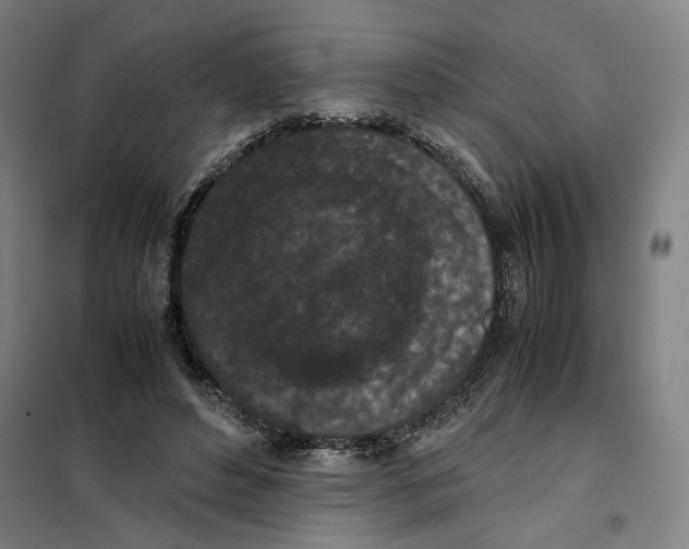 X0000101220496200807251115