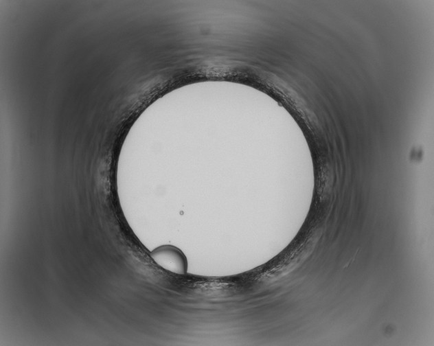 X0000101220497200807251115