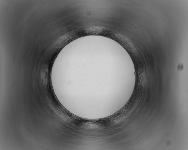 X0000101220498200807251115
