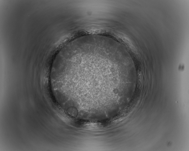 X0000101220499200807251115