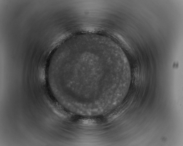 X0000101220500200807251115