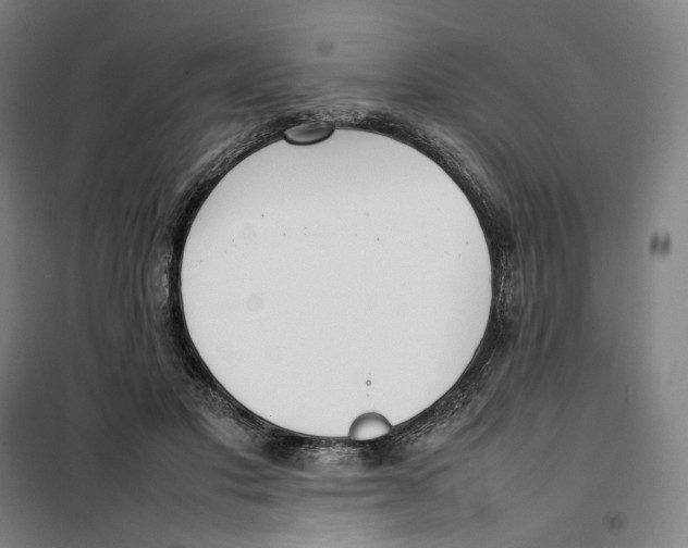 X0000101220501200807251115