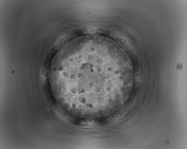 X0000101220503200807251115