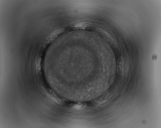 X0000101220504200807251115