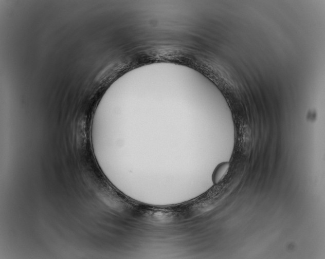 X0000101220506200807251115
