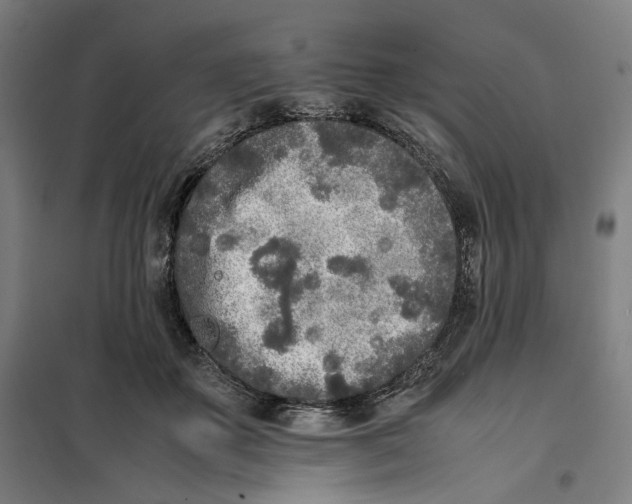 X0000101220507200807251115