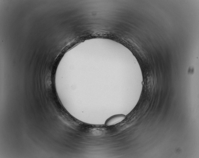 X0000101220508200807251115