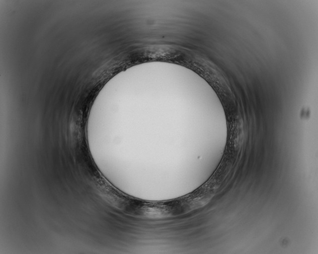 X0000101220510200807251114