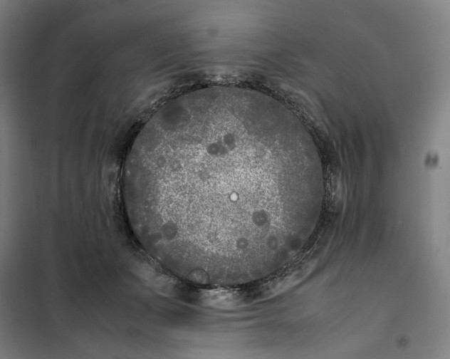 X0000101220511200807251114