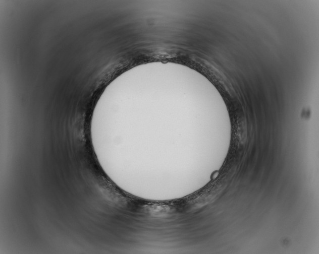 X0000101220512200807251114