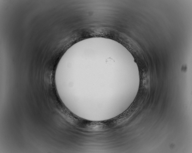 X0000101220514200807251114