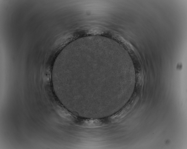 X0000101220517200807251114