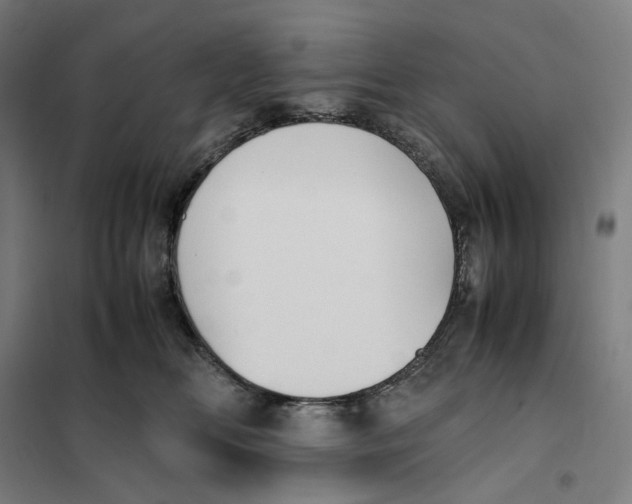 X0000101220518200807251114