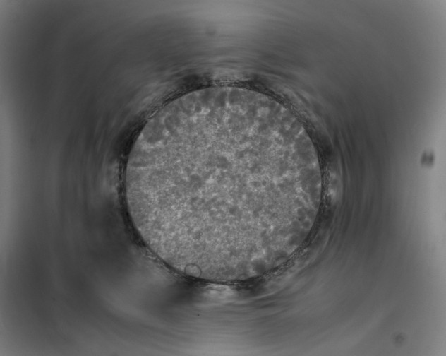 X0000101220519200807251114