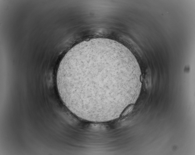 X0000101220520200807251114