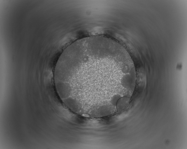 X0000101220523200807251114