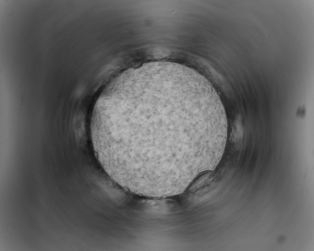 X0000101220524200807251114