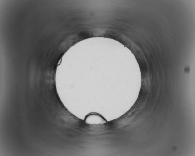 X0000101220525200807251114