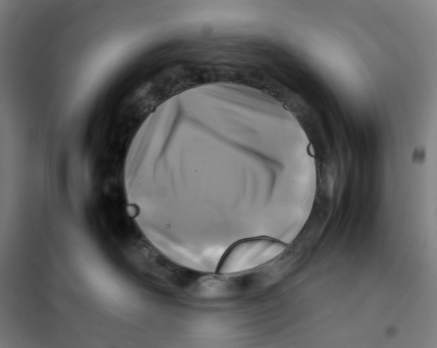 X0000101220526200807251114