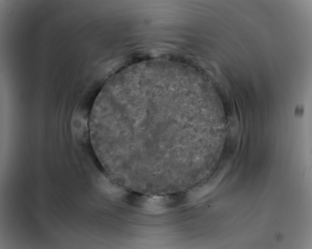 X0000101220527200807251114