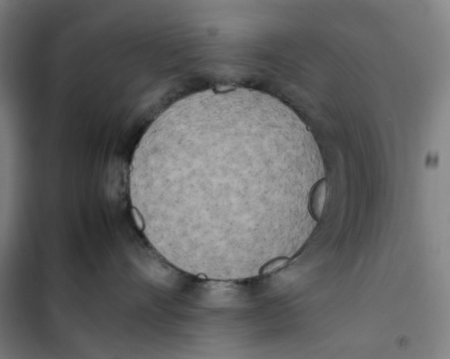 X0000101220528200807251114