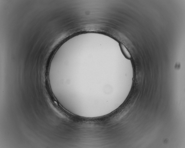 X0000101220530200807251113