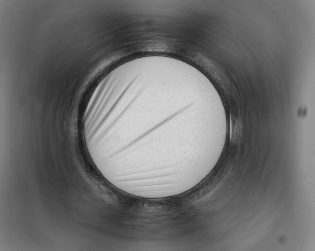 X0000101220531200807251113