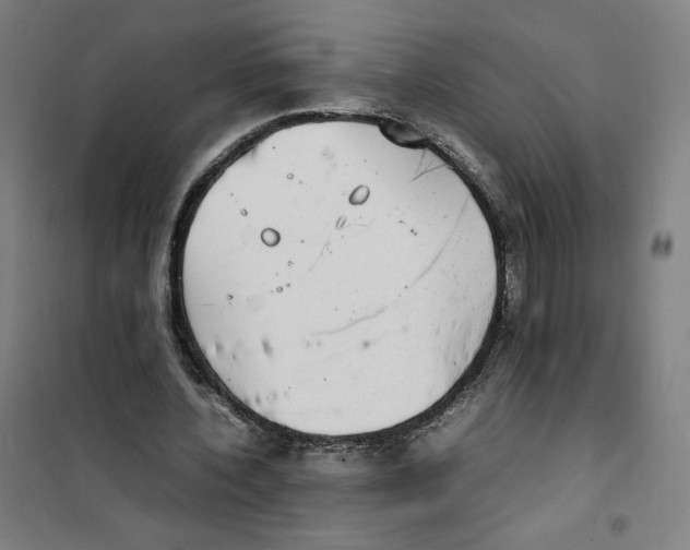 X0000101220532200807251113