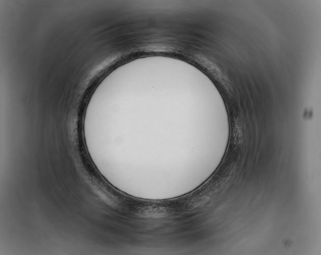 X0000101220535200807251114