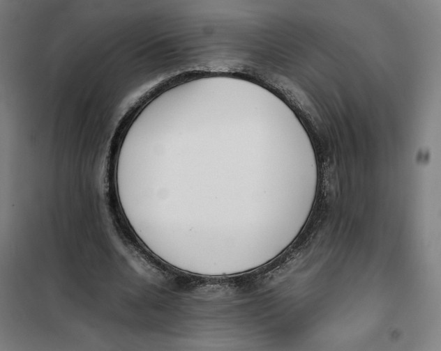 X0000101220536200807251114