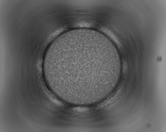 X0000101220537200807251114