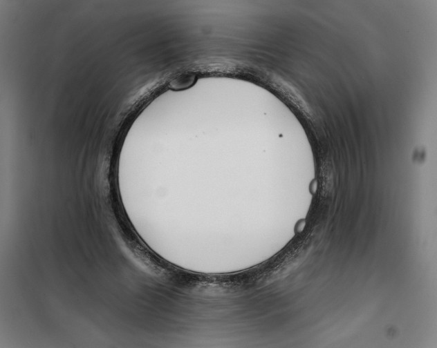 X0000101220538200807251114